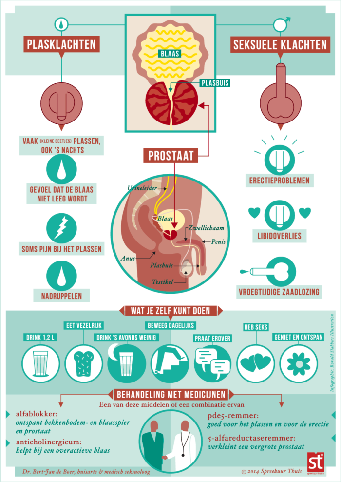 medische infographic over de prostaat, sexuele klachten, plasklachten, erectieproblemen